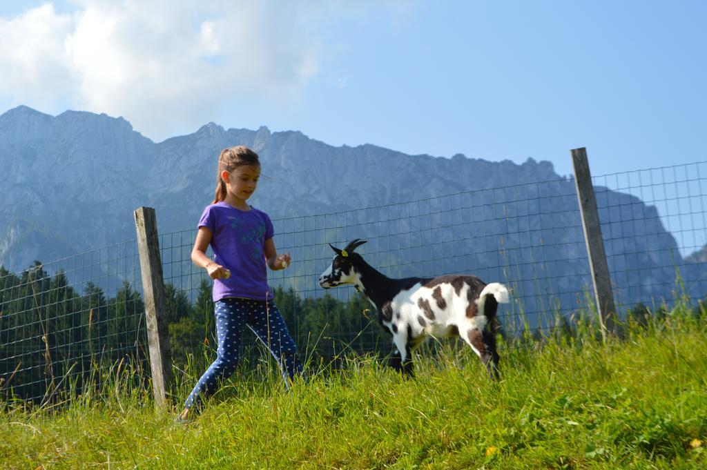 Landgasthof Ledererwirt Hostal Ebbs Exterior foto
