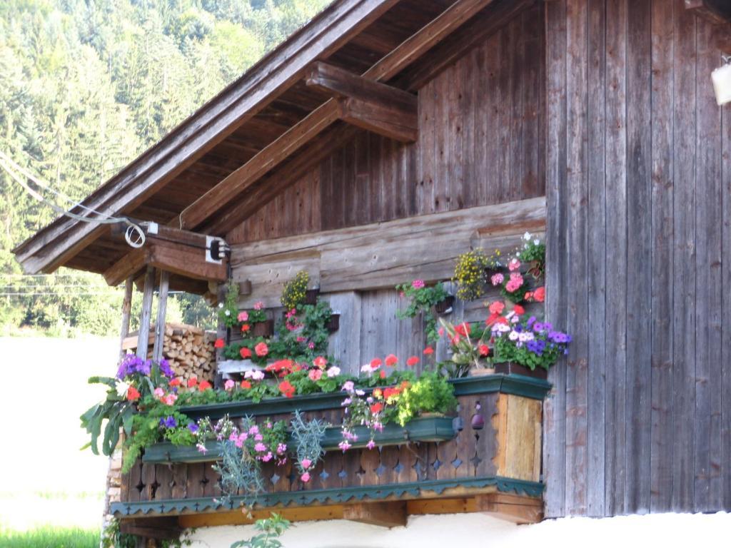 Landgasthof Ledererwirt Hostal Ebbs Exterior foto