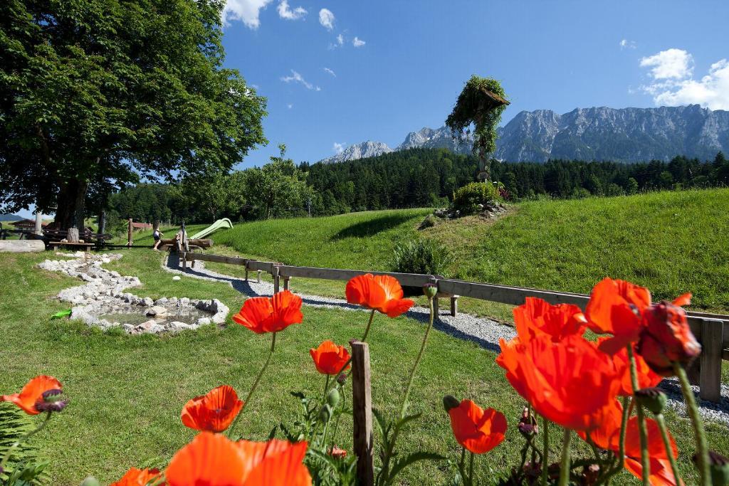 Landgasthof Ledererwirt Hostal Ebbs Exterior foto